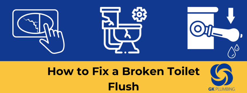 Infographic showing a broken toilet flush and how to fix it