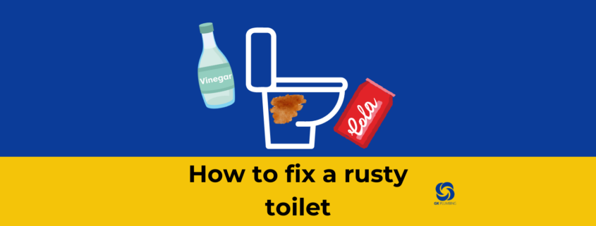 Infographic for blog: how to fix a rusty toilet